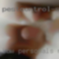 BBW personals near 44052!