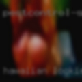 Hawaiian looking naked women blog raj2k2003.